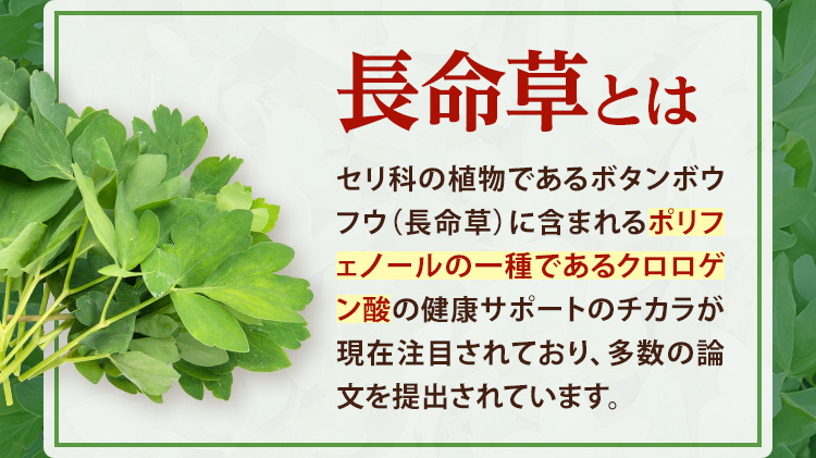 長命草とは