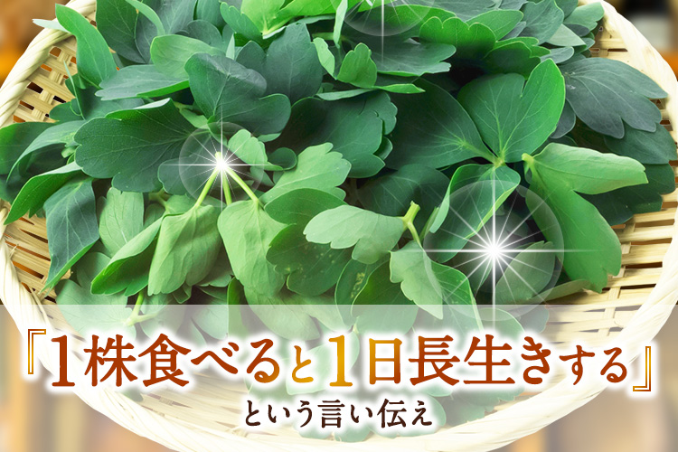 1株食べると1日長生きするという言い伝え