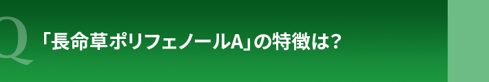 「長命草ポリフェノールA」の特徴は?
