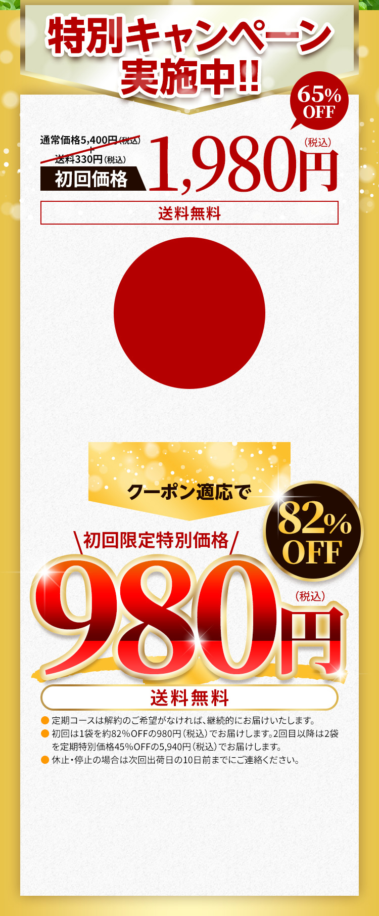 特別キャンペーン実施中!!　初回限定特別価格 980円　送料無料　82％OFF